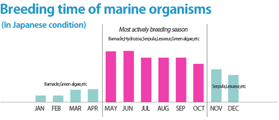 Breeding time of aquatic life