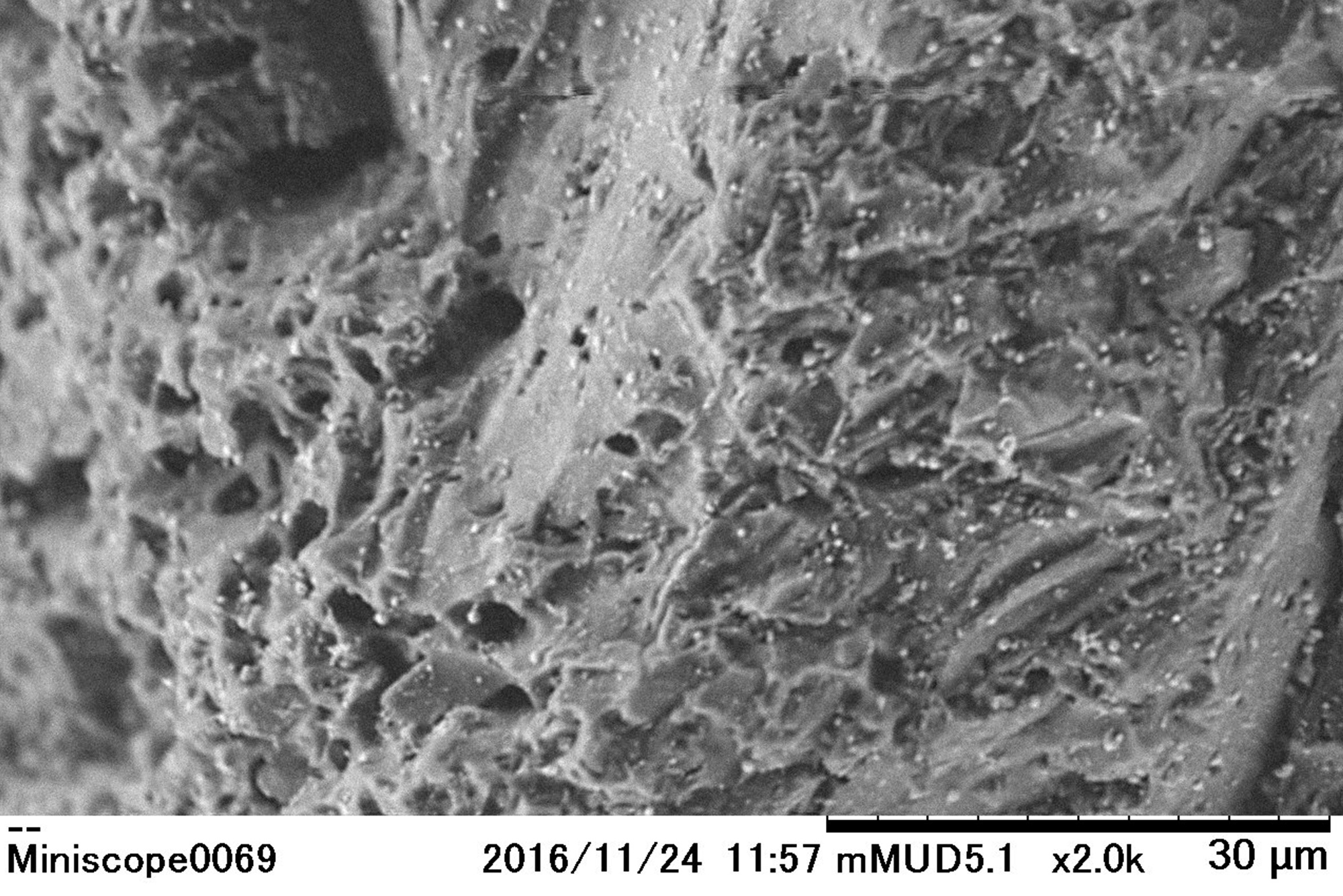 白金ナノ粒子 Platinum nanoparticle JapaneseClass.jp